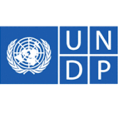 undp.png